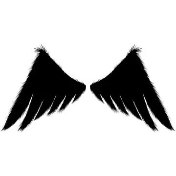 Two black wings design on a transparent background. Stock Illustration