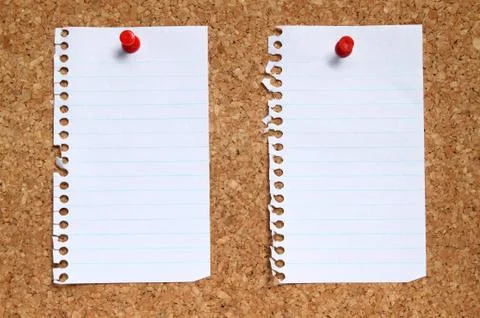 Two blank paper pages from a notebook pinned to a cork noticeboard. Foto stock