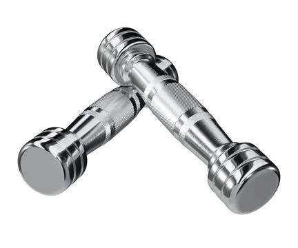 Two blank Round Dumbbells, chrome weightlifting gym equipment top view Stock Illustration