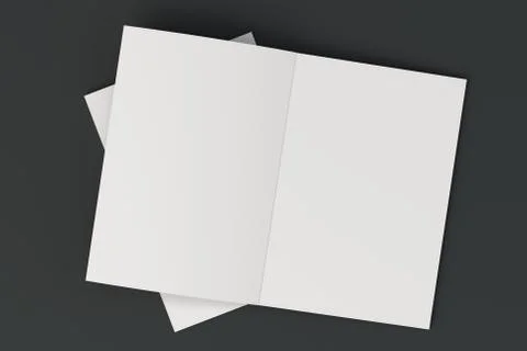 Two blank white open brochure mock-up on black background Stock Illustration