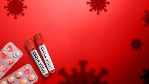 Two blood sample test tubes labeled Ebola virus with pharmaceutical medicin.. Stock Photos