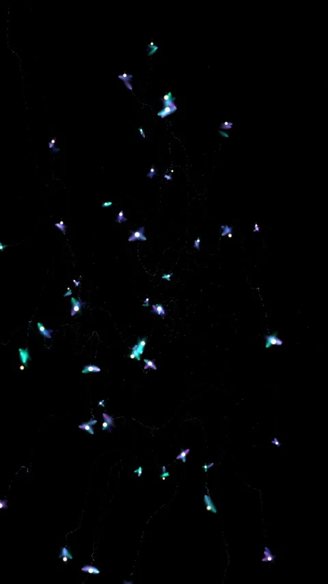 Two Blue Butterfly Firework Bursts with Alpha Channel on Black Background. Stock Footage 318976002