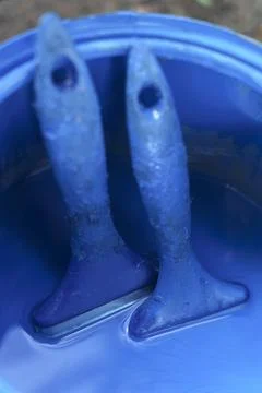 Two blue paint brushes soaking inside a bright blue paint can Foto stock