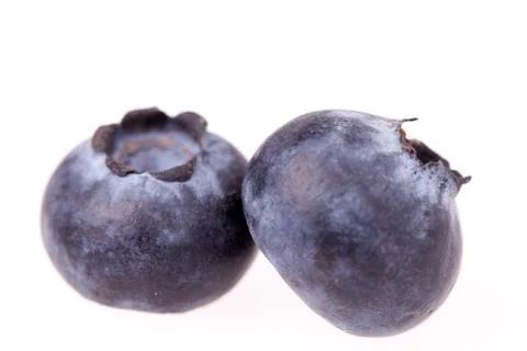 Two blueberries isolated Фото