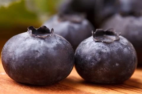 Two blueberries - macro Фото
