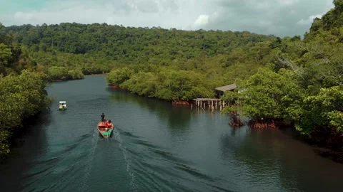 Two boats exploring mangrove forest at sunny day in the Gulf of Thailand Stockbeeldmateriaal 137130721
