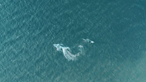 Two boats float in different directions in the sea on the waves. Stock Footage 165406447