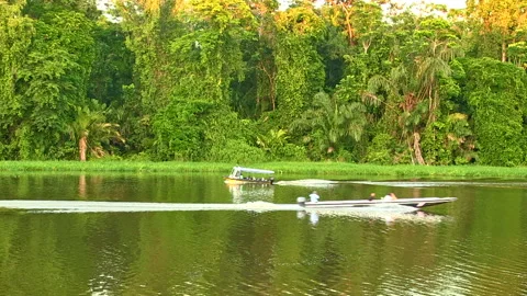 Two boats heading down a river through a rainforest in Costa Rica Stock Footage 161804923