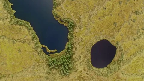Two bog lakes with different colours of water. Aerial shot. Stock Footage 83584749