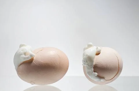 Two boiled cracked eggs shells with egg white Two boiled cracked eggs shel... Foto stock