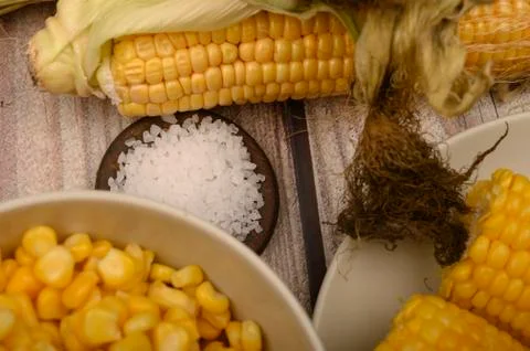 Two boiled ears of corn, corn kernels, coarse salt and raw ears of corn on a  Stock Photos