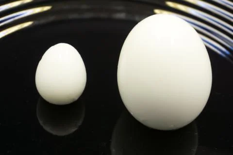 Two boiled eggs, one in an white eggcup with the word egg in black on cup. Ot Stock Photos