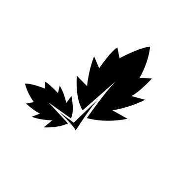 Two bold black maple leaves intertwined against a crisp, clean white backgrou 스톡 일러스트