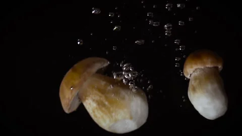Two boletus edulis of different sizes fall together into the water Stock Footage 141286236