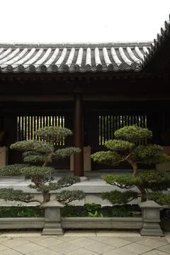 Two bonsai inside Chi Lin nunnery in Hong Kong Stock Photos