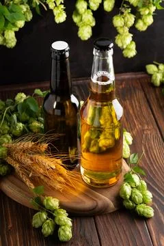 Two bottles of beer with fresh hops and wheat ears on a wooden table Stock Photos