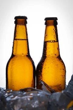 Two bottles of beer in ice cubes. Close up. White background Stock Photos