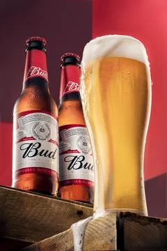 Two bottles of cold Budweiser beer and a glass of beer on a red background, the Stock Illustration