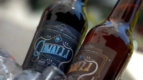 Two bottles of craft beer in an ice bucket Stock-Footage 149365443