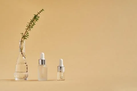 Two bottles of essential ol with fresh thyme twigs with copy space Foto stock