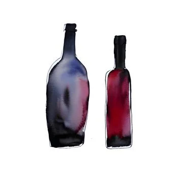 Two bottles of wine on a white background Stock Illustration