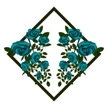 Two bouquets of reflected beautiful blooming blue roses in the rhombus Stock Illustration