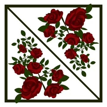 Two bouquets of reflected beautiful blooming red roses Stock Illustration