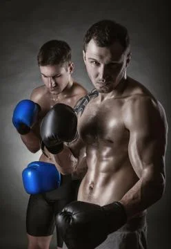 Two boxer Stock Photos
