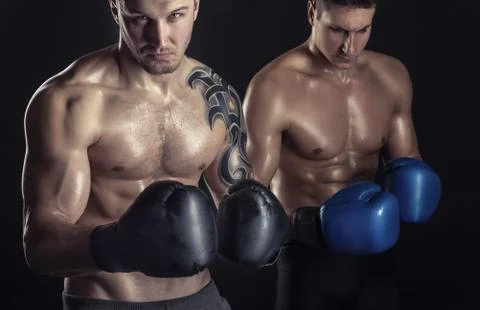 Two boxer Stock Photos
