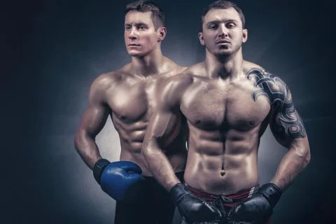 Two boxer Stock Photos