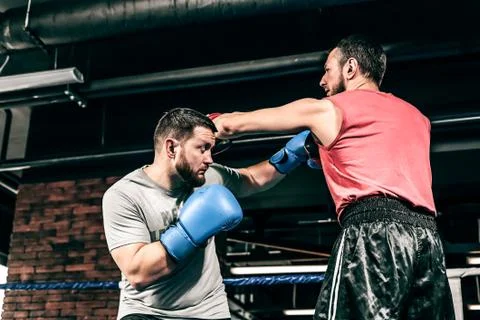 Two boxers train on the ring Stock Photos