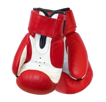 Two boxing gloves Stock Photos
