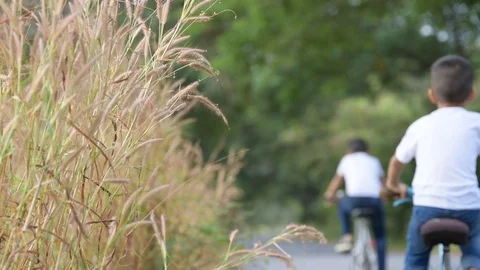 Two boy bicycle Stock Footage 73374247
