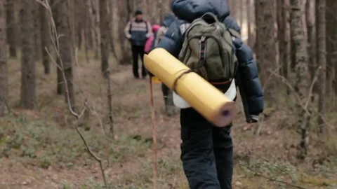 Two boys catch up the group of little hiking children Stock Footage 76567010