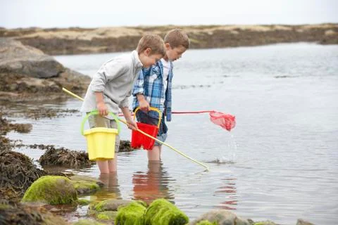 Two boys collecting shells on beach Foto stock