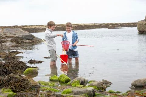 Two boys collecting shells on beach Stock Photos