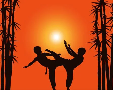 Two boys demonstrate karate on a background a sun. Illustrazione stock