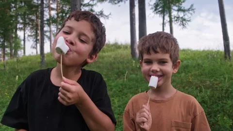 Two boys eating marshmallows in a forest Stock Footage 314971571