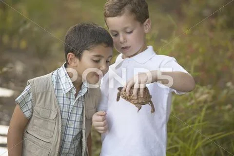 Two boys examining turtle Stock Photos
