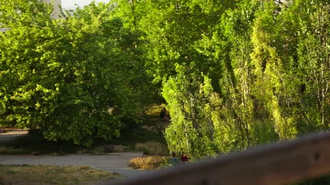 Two boys go on a path at sunset, green trees Stock Footage 131468634