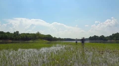 Two Boys Lake Spring 3 HD Kids Time-lapse Playing Video stock 12528849