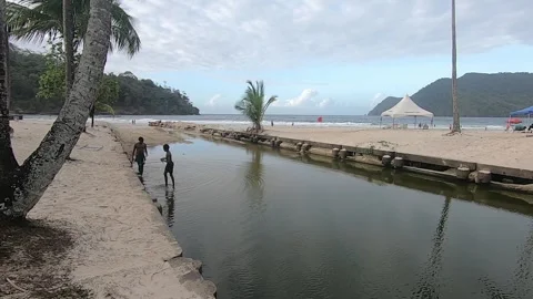 Two boys in the Maracas River Video stock 335899599