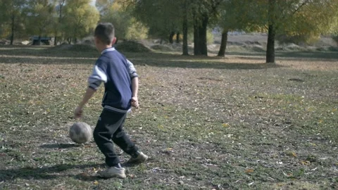 Two boys playing with a ball in a meadow in the countryside Stock Footage 221647342