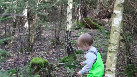 Two boys playing in the forest Stock Footage 252756284