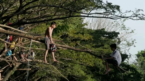 Two boys playing with tree branch above the polluted river Stock Footage 132451299