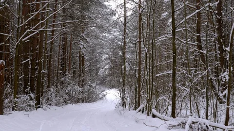 Two boys pulling sled and tubing Stock Footage 110838988