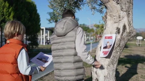 Two boys putting up missing pet banners. Cat lost in big city. Stock Footage 229648754