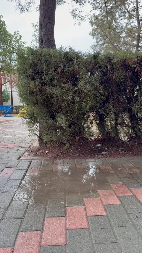 Two boys run into puddle on park pavement after rain, kids lifestyle content for Stock Footage 329278052