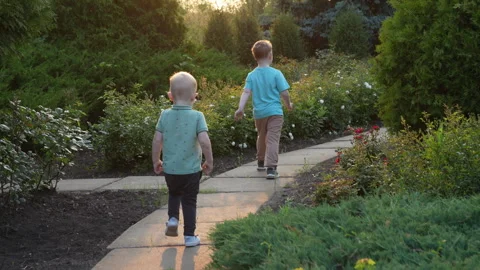 Two boys running through rose garden at sunset Stock-Footage 310849413