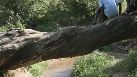 Two Boys Sit on Fallen Tree Above African Stream Stock Footage 10721550